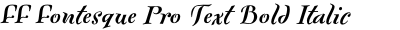 FF Fontesque Pro Text Bold Italic